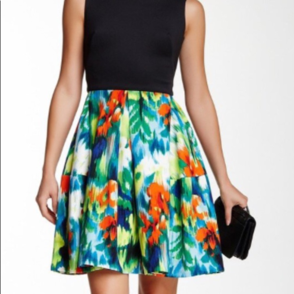 Taylor Floral Flare Dress